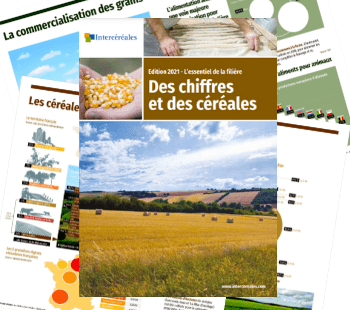 Brochure des chiffres et des céréales - édition 2021