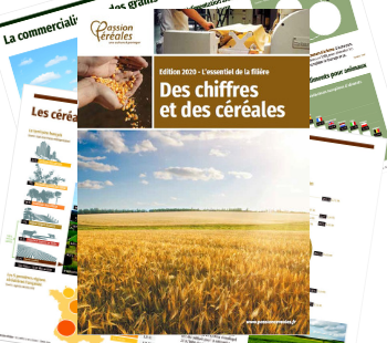 Brochure des chiffres et des céréales - édition 2020 : tous les chiffres de la filière céréalière