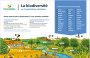 Panneaux : Biodiversité