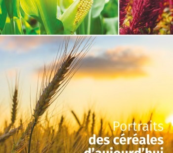 Brochure - Portraits de céréales