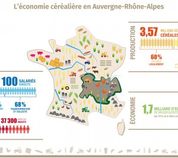 Infographie céréales en Auvergne-Rhône-Alpes
