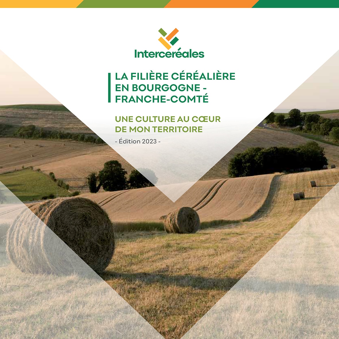 Une culture au cœur de mon territoire – La filière céréalière en Bourgogne-Franche Comté Édition 2023