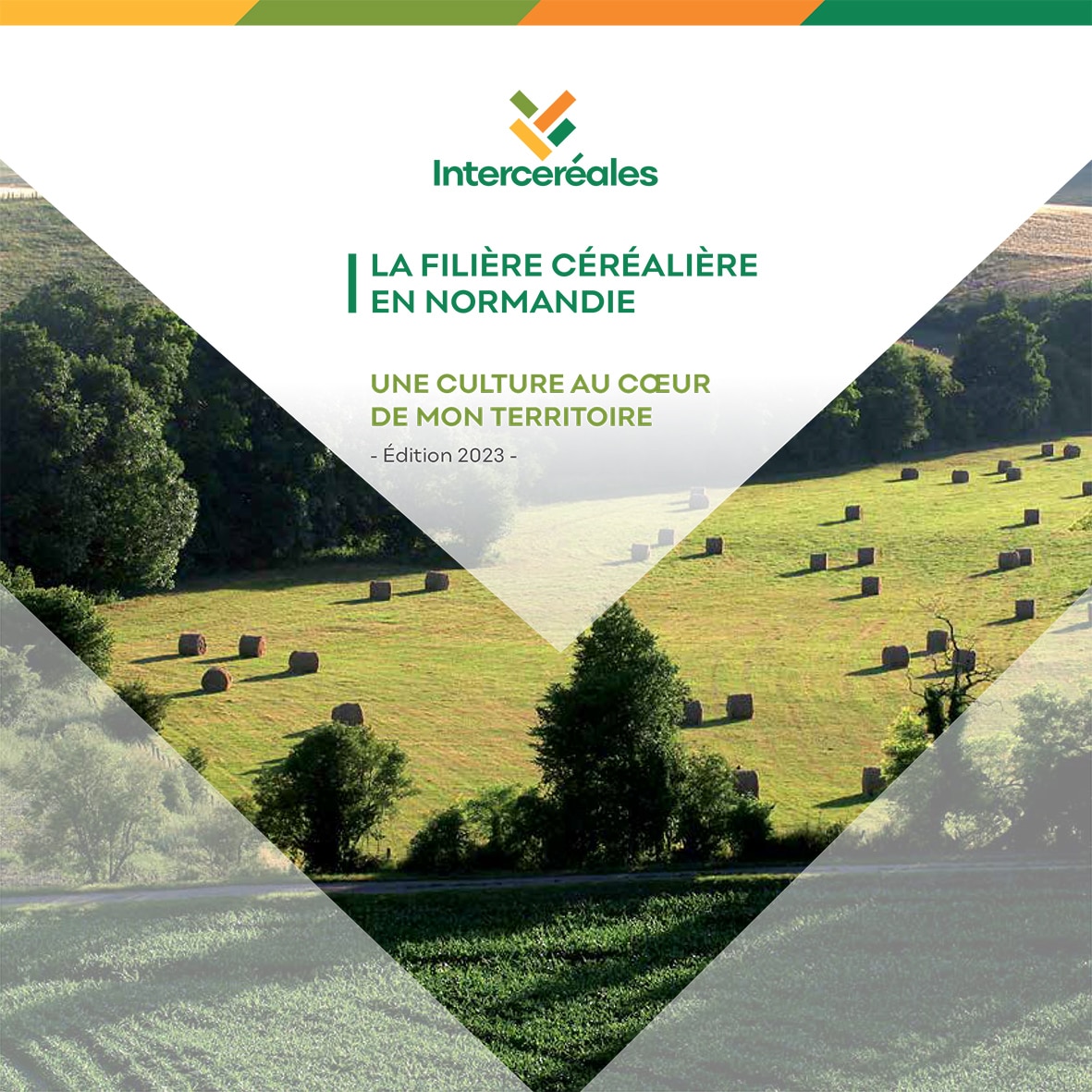 Une culture au cœur de mon territoire – La filière céréalière en Normandie Édition 2023