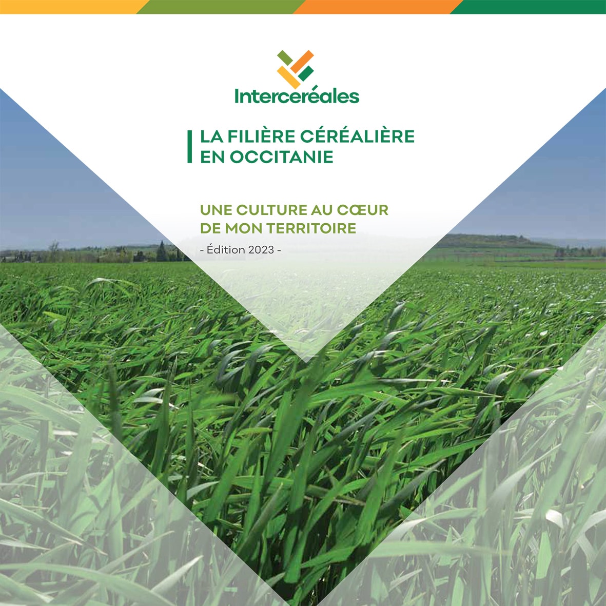 Une culture au cœur de mon territoire – La filière céréalière en Occitanie Édition 2023