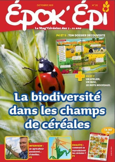 Epok'Epi n°20 : La biodiversité dans les champs de céréales