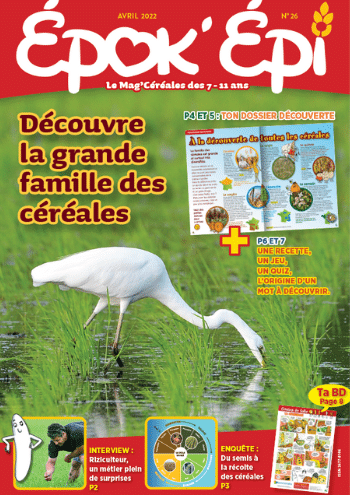 Epok'Epi n°26 : La grande famille des céréales